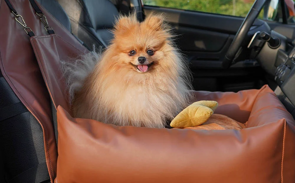 Cotons de Tulear Dog Car Seat for Nissan Sentra
