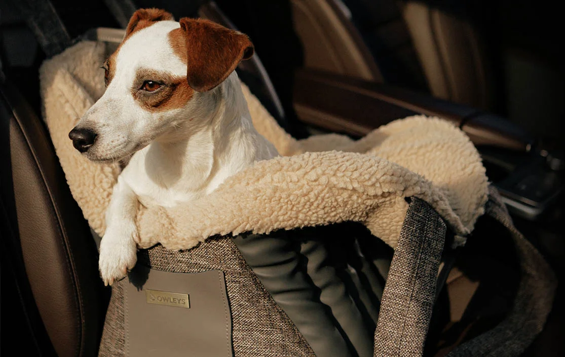 Dog Carrier Purse for Border Terrier