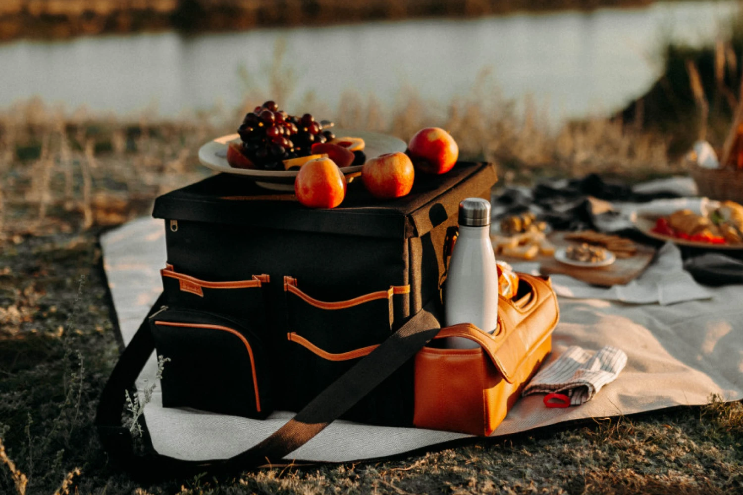 fancy picnic blanket