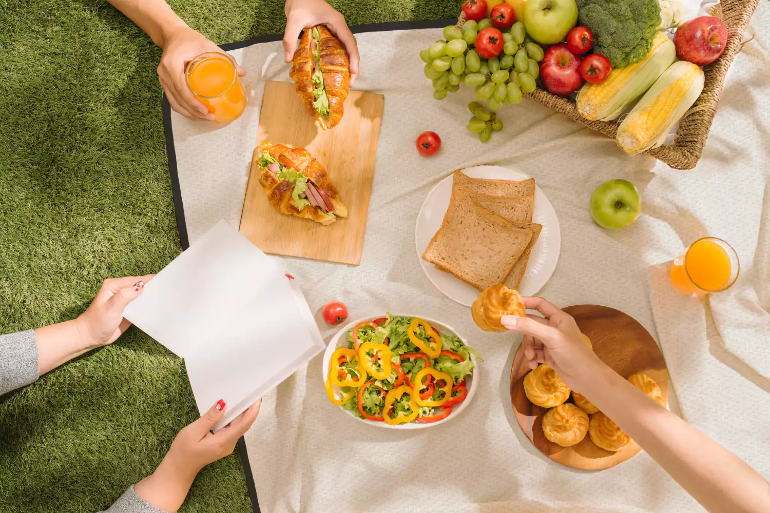 garden party picnic blanket