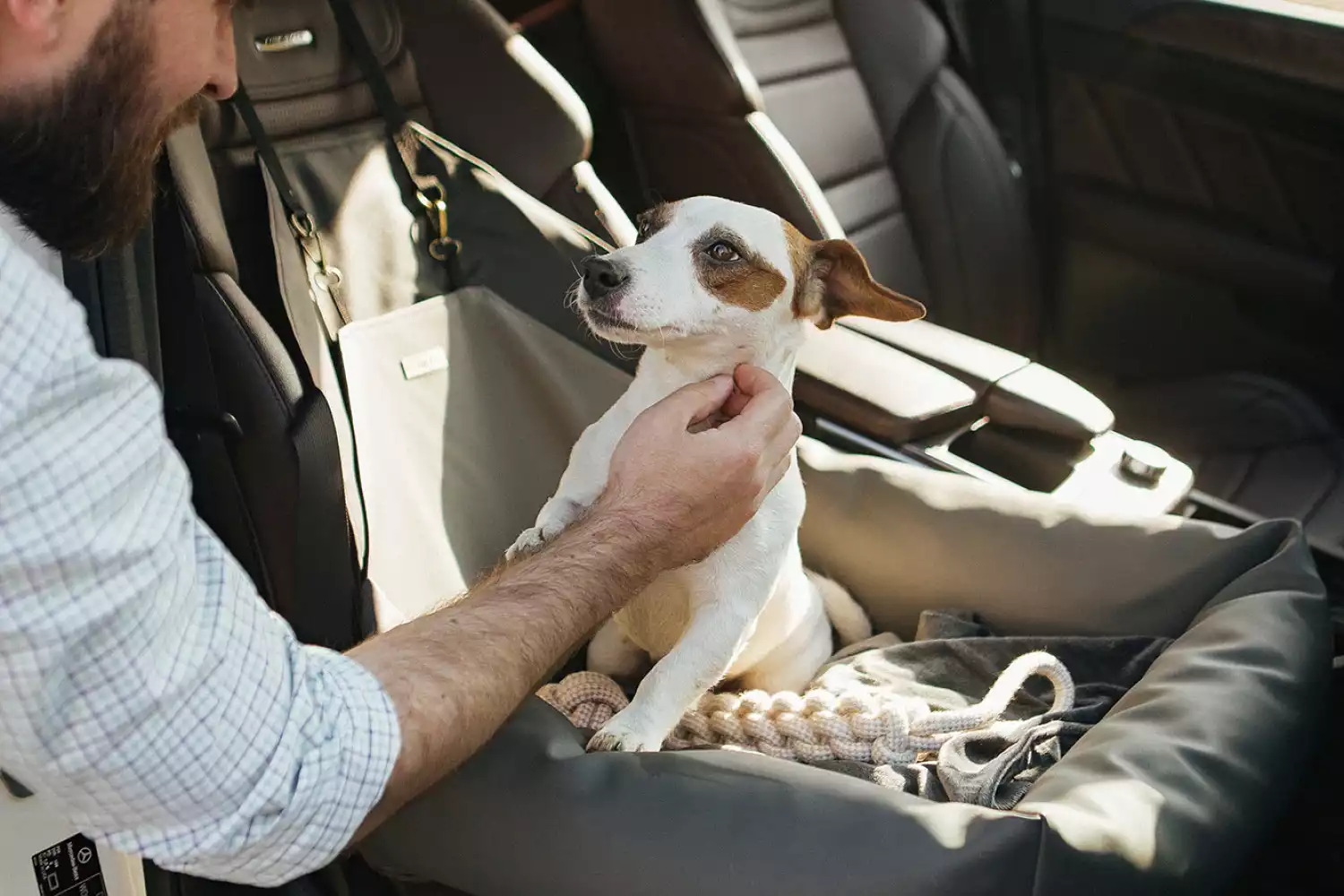 Toyota Camry Dog Car Seat for Irish Terriers