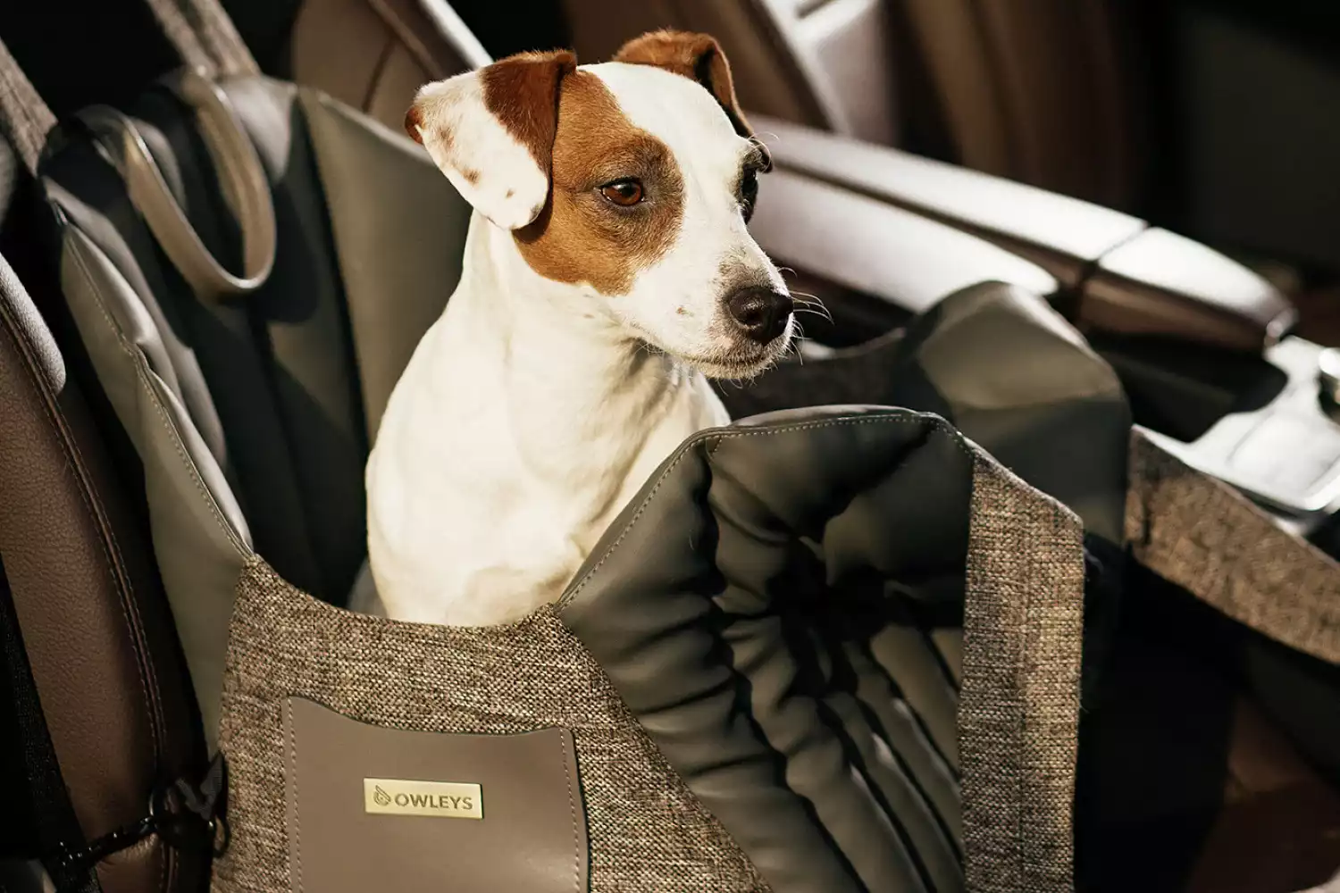 Belgian Griffon Dog Carrier Car Seat for Hyundai Kona