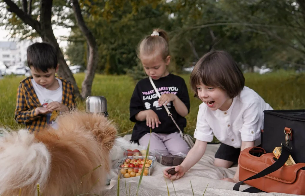 park picnic blanket