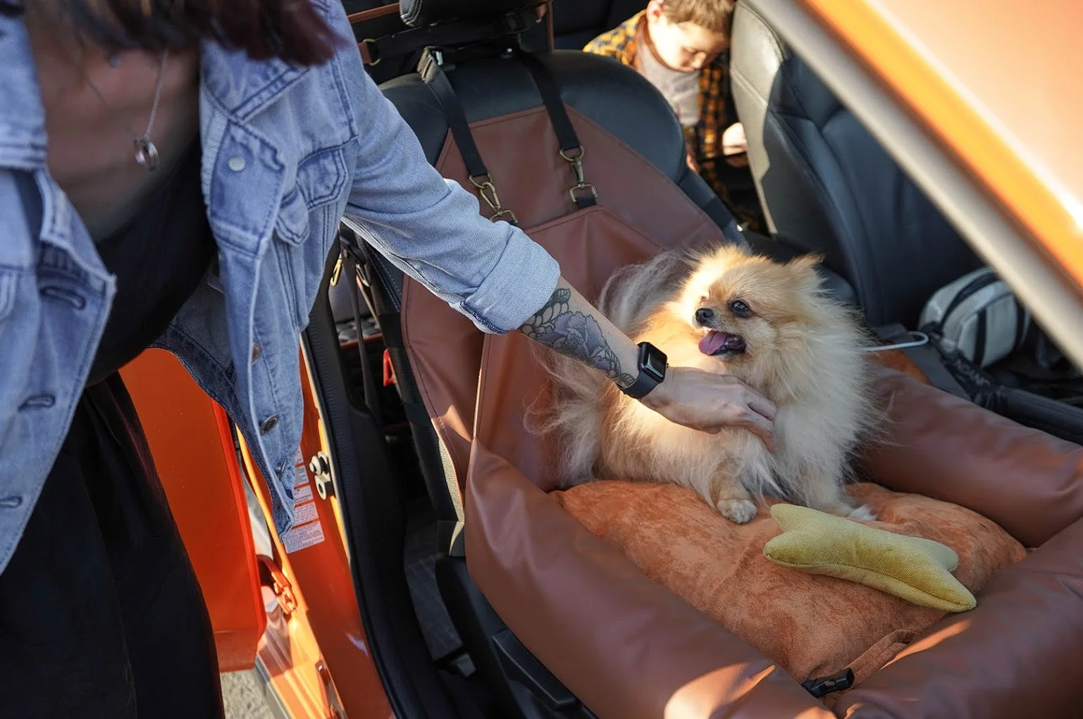 Honda Accord Dog Car Seat for Miniature Bull Terriers