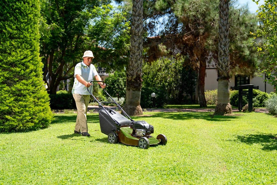 small battery lawn mower